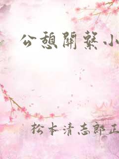 公憩关系小说