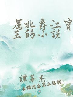 厉北爵江宝宝男主的小说