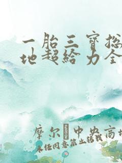 一胎三宝总裁爹地超给力全文免费阅读