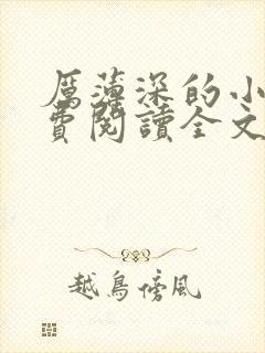 厉薄深的小说免费阅读全文