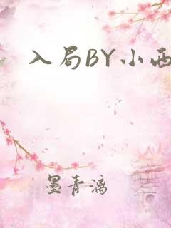 入局BY小西