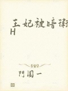 王妃被暗卫肉高H
