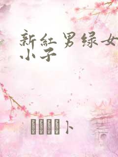 新红男绿女之坏小子