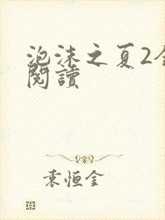 泡沫之夏2全文阅读