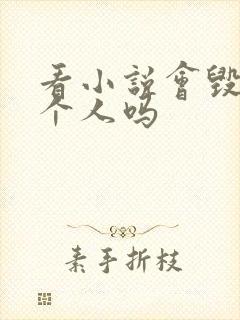 看小说会毁掉一个人吗