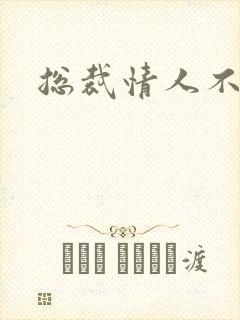 总裁情人不好当