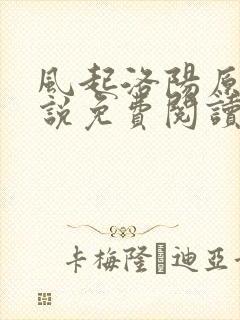 风起洛阳原著小说免费阅读
