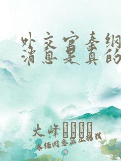 外交官秦纲最新消息是真的吗还是假的