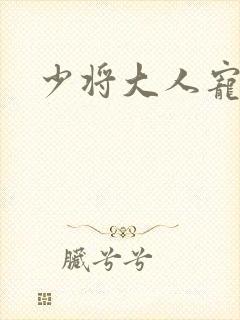 少将大人宠宠我