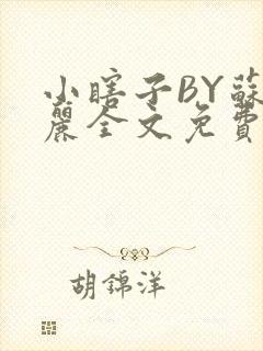 小瞎子BY苏玛丽全文免费笔趣阁