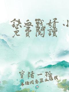 铁血战婿 小说免费阅读