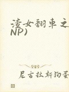 渣女翻车之后(NP)