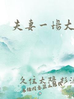 夫妻一场大结局