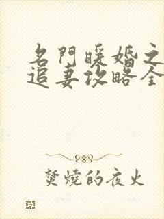 名门暖婚之权爷追妻攻略全文免费阅读