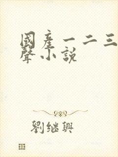 国产一二三区有声小说