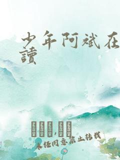 少年阿斌在线阅读