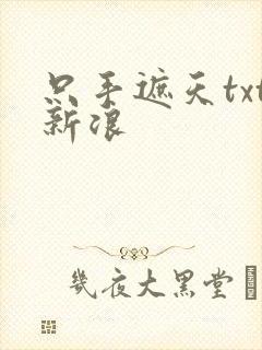 只手遮天txt新浪