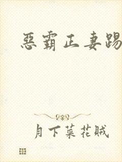 恶霸正妻踢娇妾