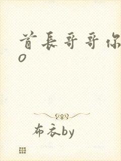 首长哥哥你好po