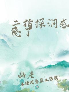 二指探洞感觉要飞了