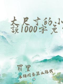 大尺寸的小黄说说1000字免费