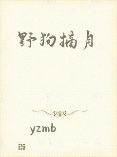 野狗摘月