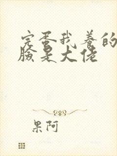 完蛋我养的小白脸是大佬