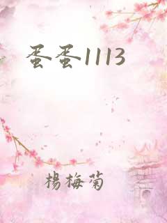 蛋蛋1113