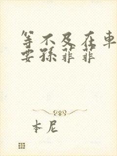 等不及在车里就要孙菲菲