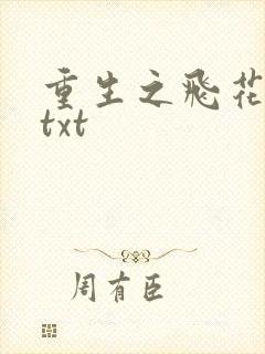 重生之飞花落照txt