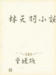 林天羽小说