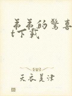 弟弟的惊喜txt下载