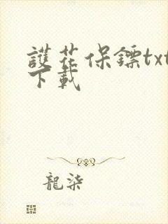 护花保镖txt下载