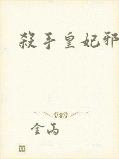 杀手皇妃邪魅帝