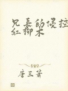 兄长的侵控by红柳木
