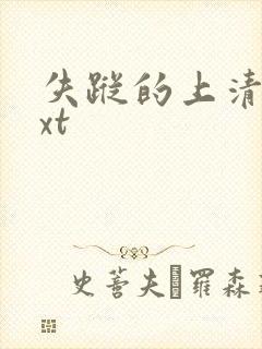 失踪的上清寺txt