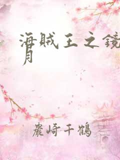 海贼王之镜花水月