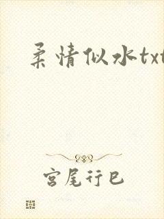 柔情似水txt