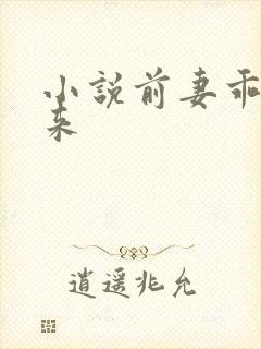 小说前妻乖乖回来