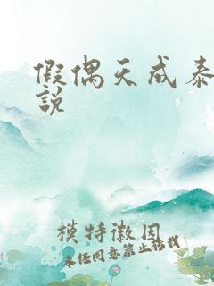 假偶天成泰剧小说