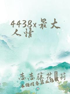 4438x最大人情