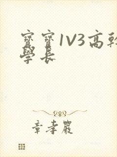 宝宝1V3高干学长