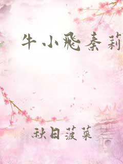 牛小飞秦莉莉