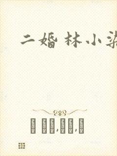 二婚 林小染