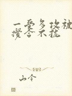 一受多攻被双龙搅合不拢