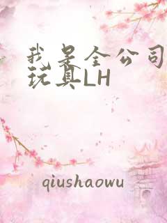 我是全公司发泄玩具LH