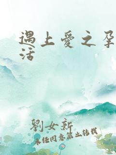 遇上爱之孕夫生活