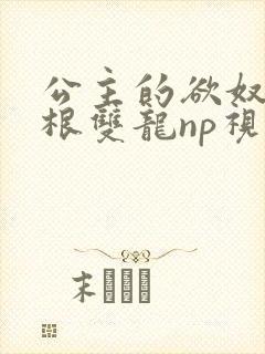 公主的欲奴h四根双龙np视频