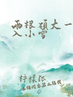 两根硕大一起挤入小雪