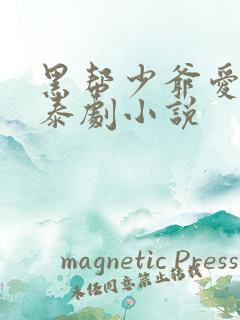 黑帮少爷爱上我泰剧小说